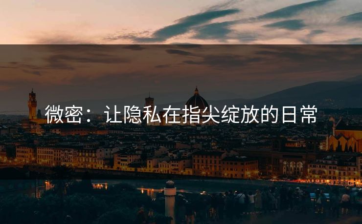 微密：让隐私在指尖绽放的日常