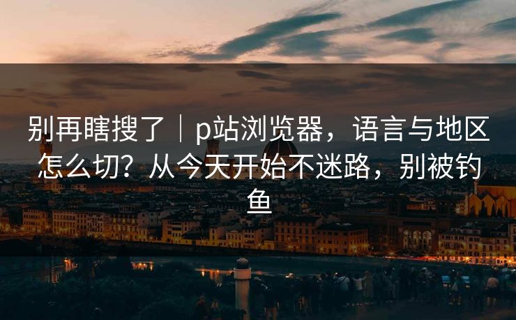 别再瞎搜了｜p站浏览器，语言与地区怎么切？从今天开始不迷路，别被钓鱼