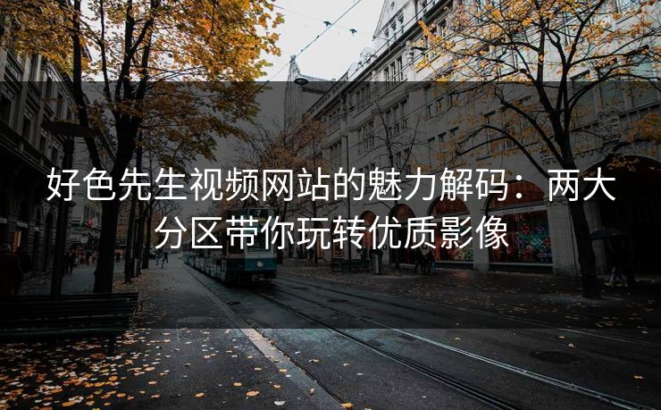 好色先生视频网站的魅力解码：两大分区带你玩转优质影像