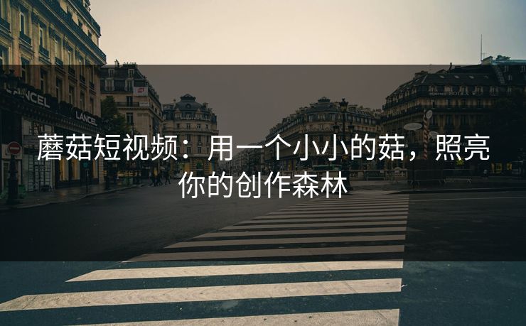 蘑菇短视频：用一个小小的菇，照亮你的创作森林