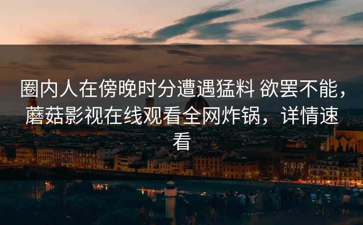 圈内人在傍晚时分遭遇猛料 欲罢不能，蘑菇影视在线观看全网炸锅，详情速看